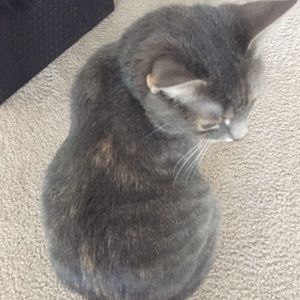 Meet your Posher, Meghan